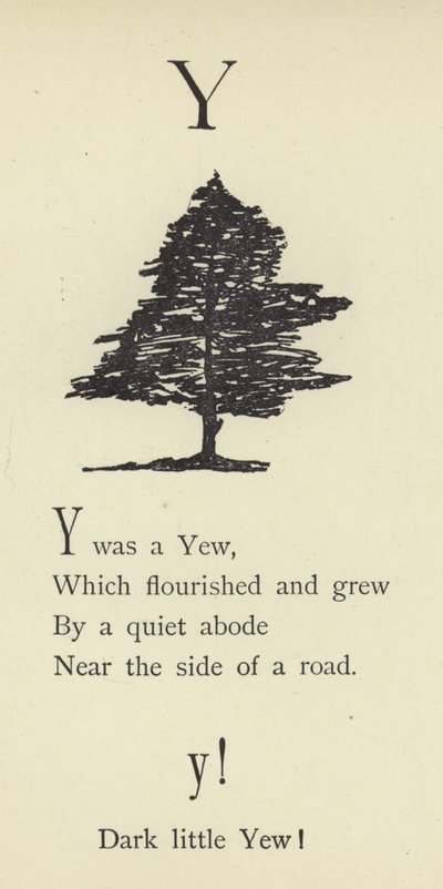The letter Y by Edward Lear